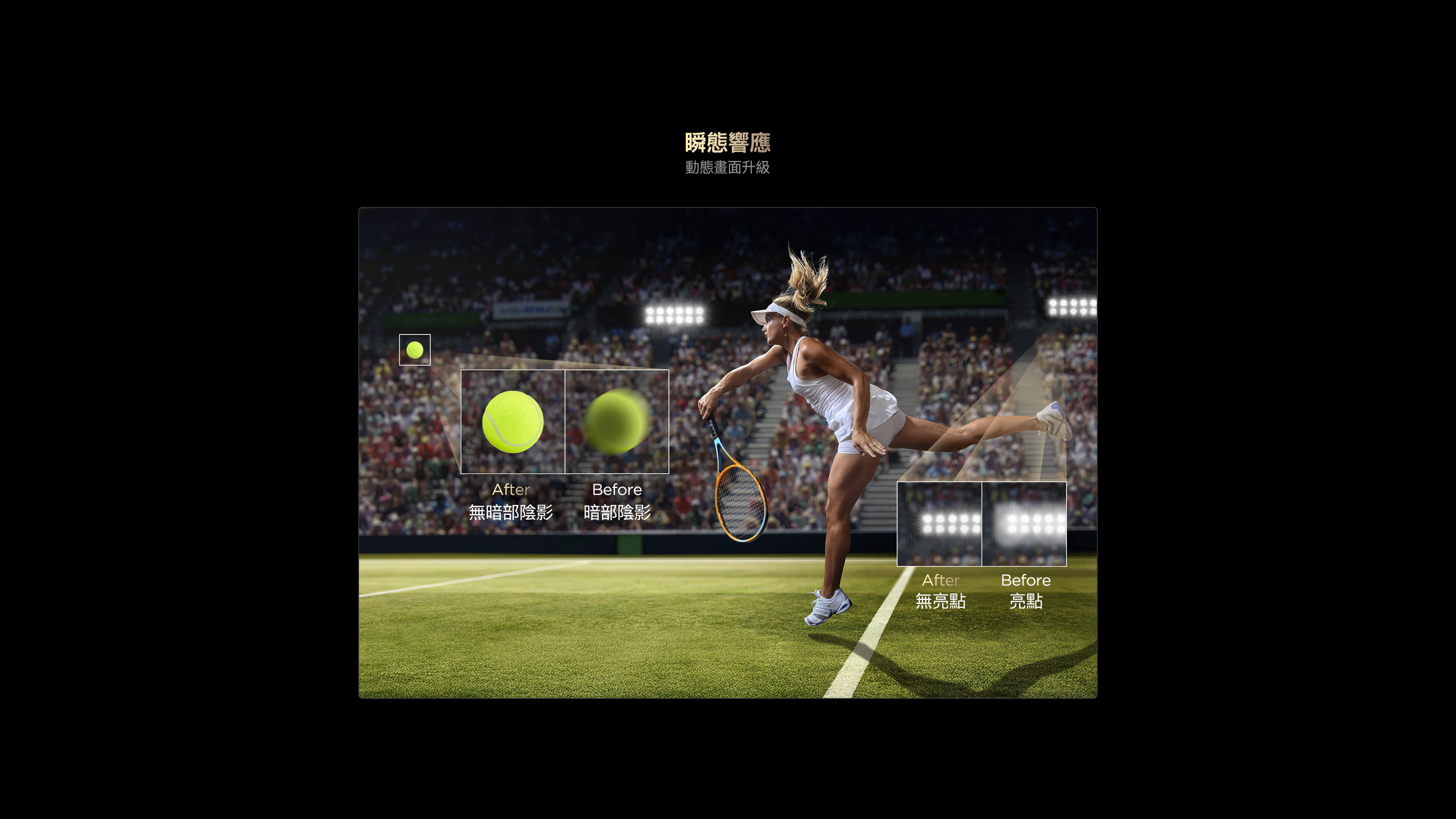 X11L Transient Response Enhanced Motion Clarity